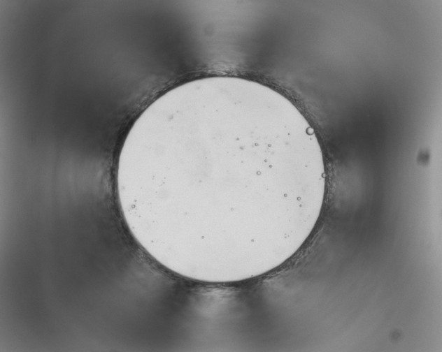 X0000116290313201001111102