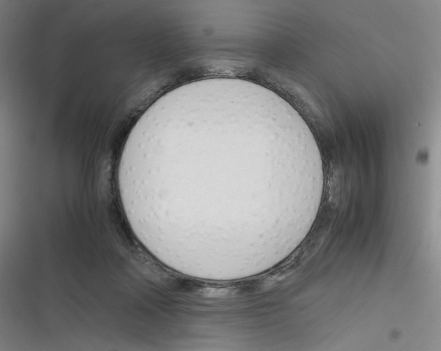 X0000116290314201001111102