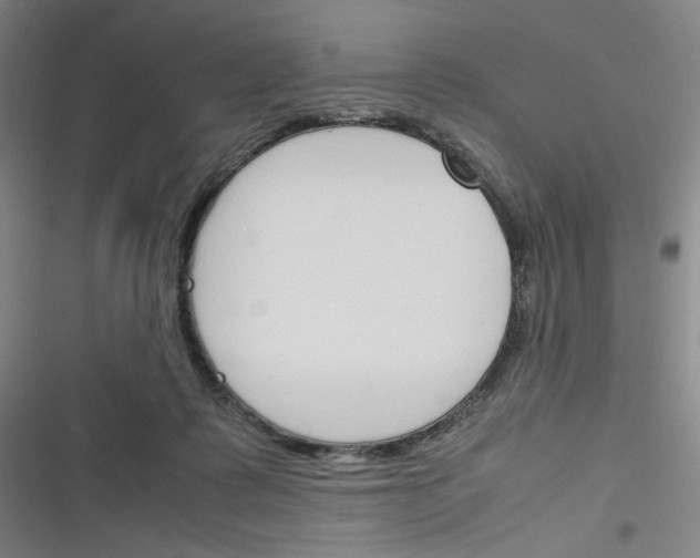 X0000116290315201001111102