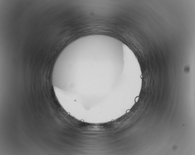 X0000116290316201001111102