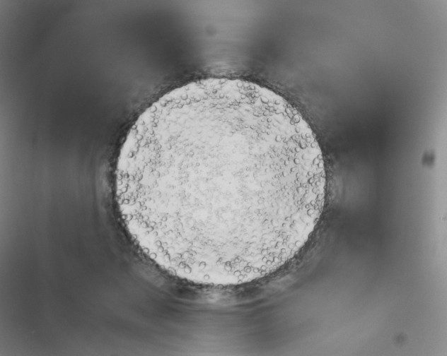 X0000116290317201001111102