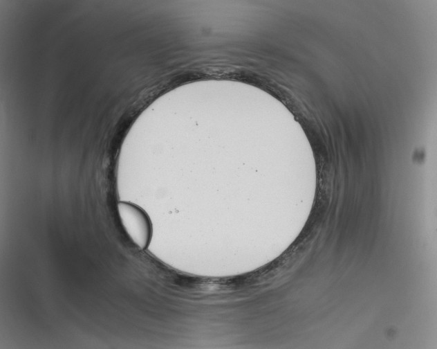 X0000116290319201001111102