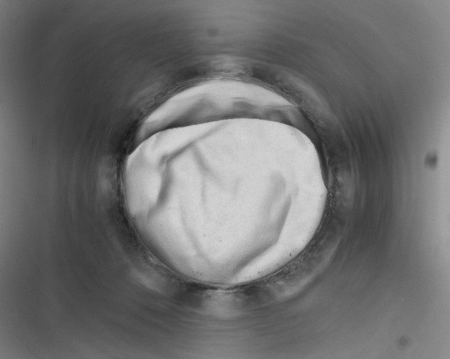 X0000116290320201001111102