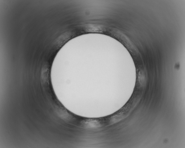 X0000116290322201001111102