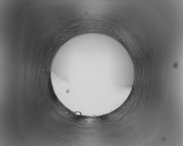 X0000116290323201001111102