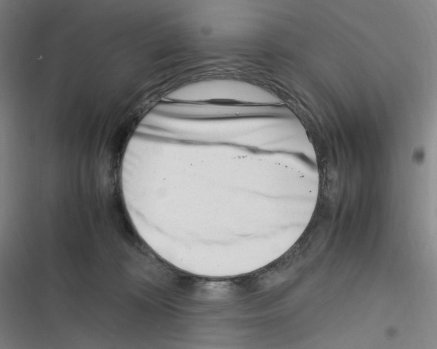 X0000116290324201001111102