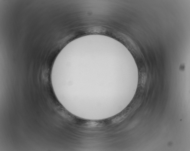 X0000116290326201001111102