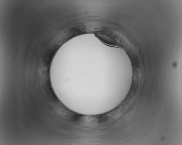 X0000116290327201001111102