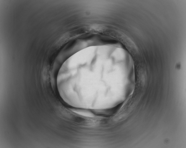 X0000116290328201001111102