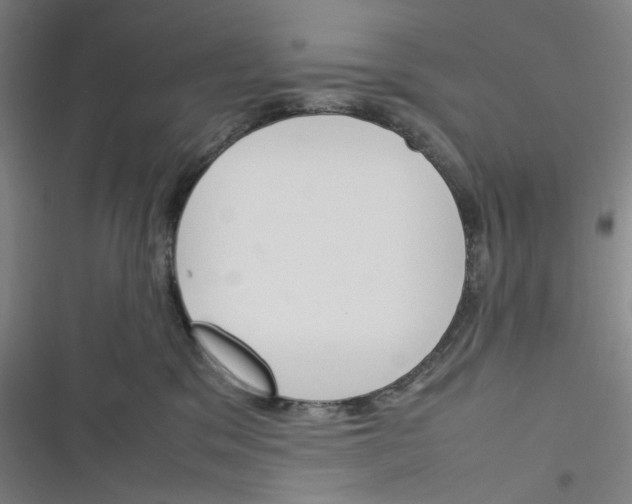 X0000116290329201001111102