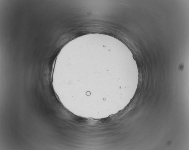 X0000116290333201001111102