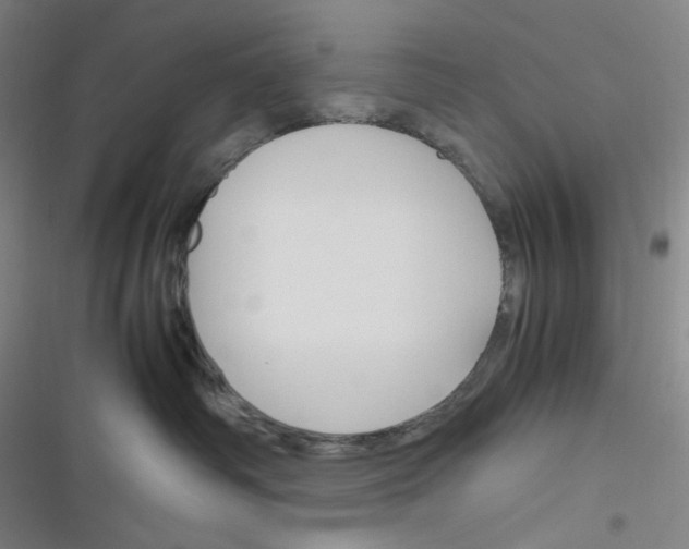 X0000116290334201001111102