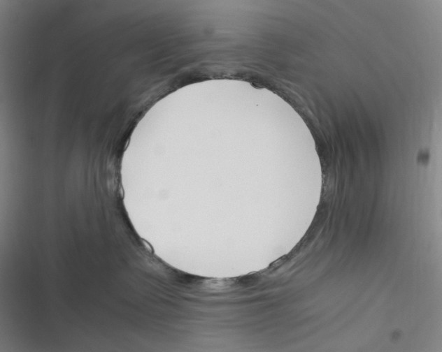 X0000116290335201001111102