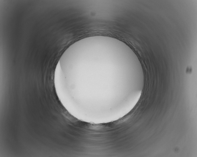 X0000116290336201001111102