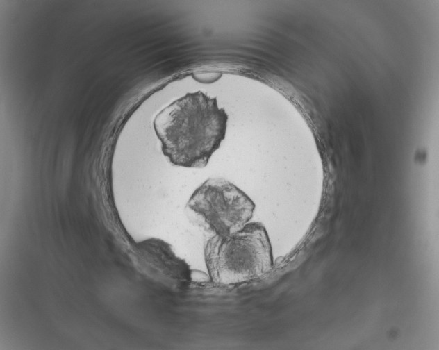 X0000116290337201001111101