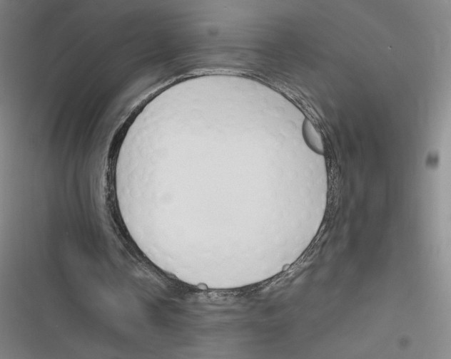 X0000116290338201001111101