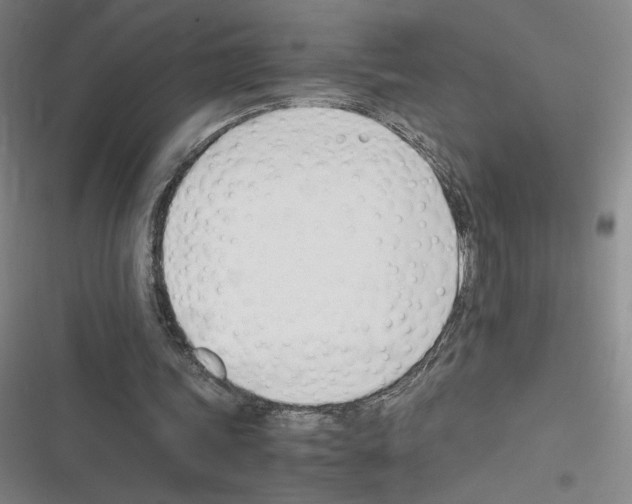 X0000116290339201001111101