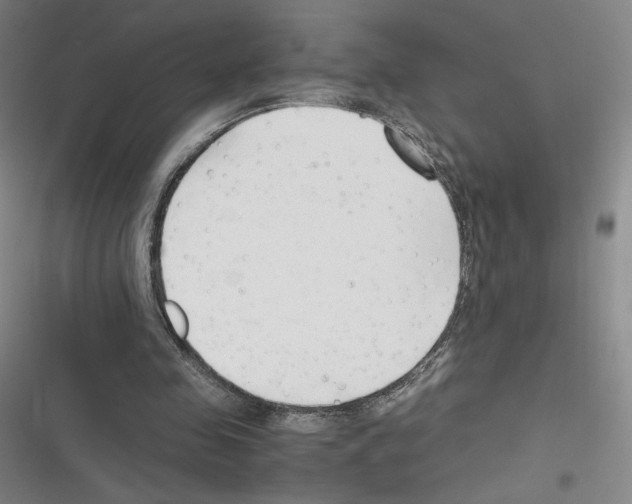 X0000116290341201001111101