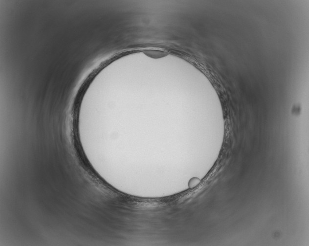 X0000116290342201001111101