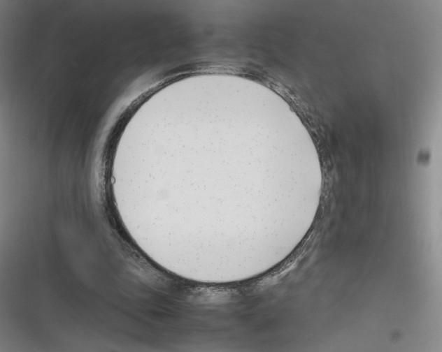 X0000116290343201001111101