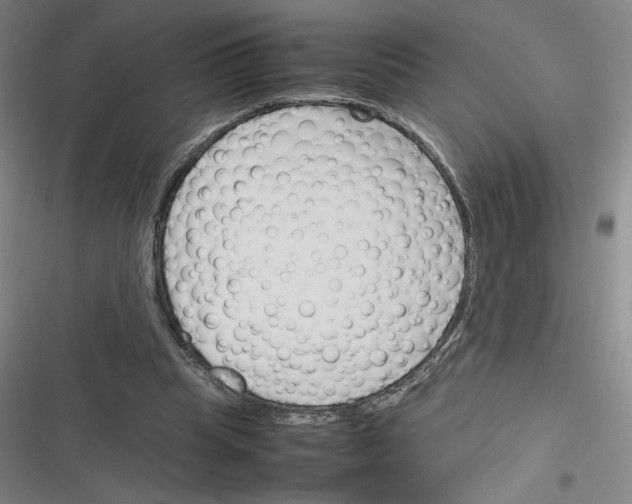 X0000116290345201001111101