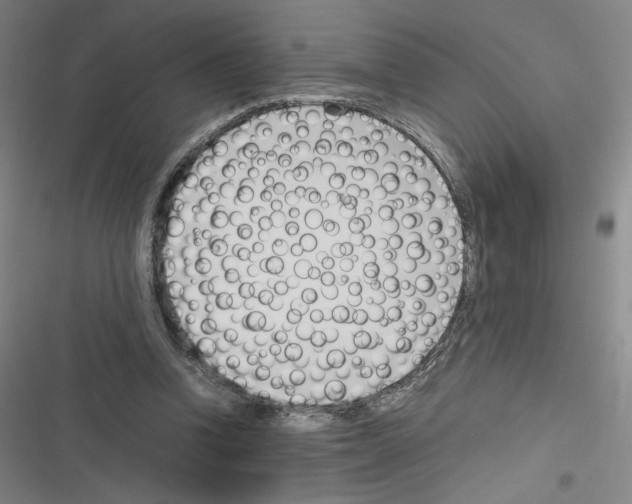 X0000116290346201001111101