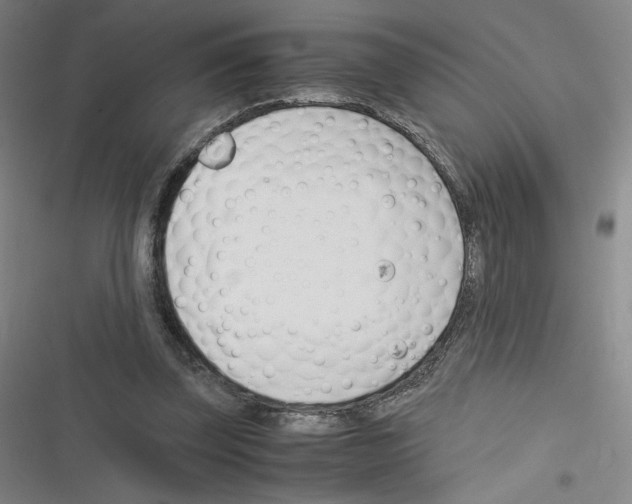 X0000116290347201001111101