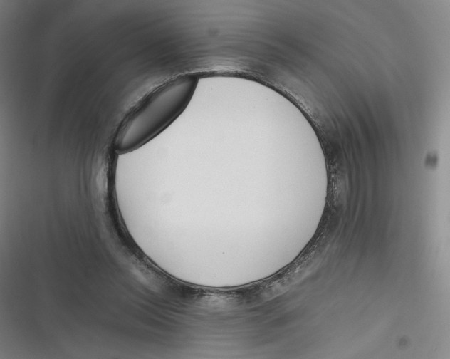 X0000116290350201001111101