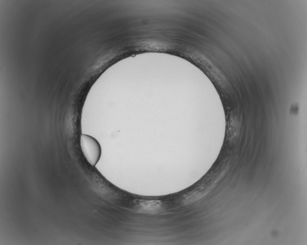 X0000116290355201001111101