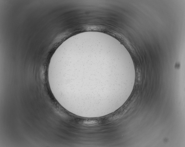 X0000116290357201001111101