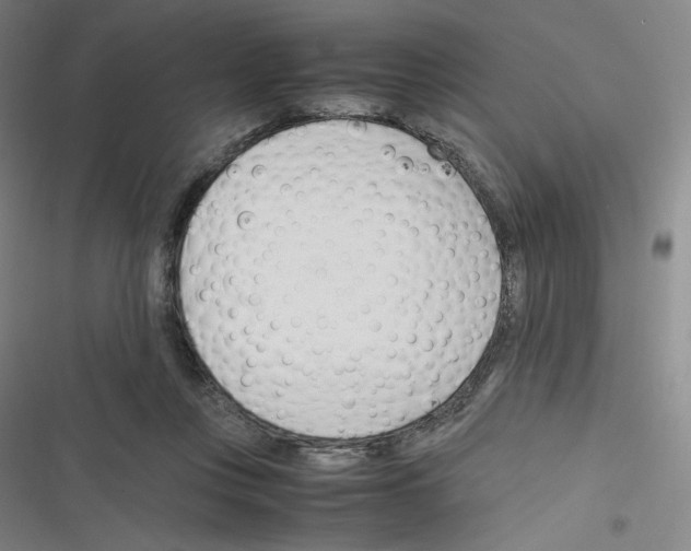 X0000116290359201001111101