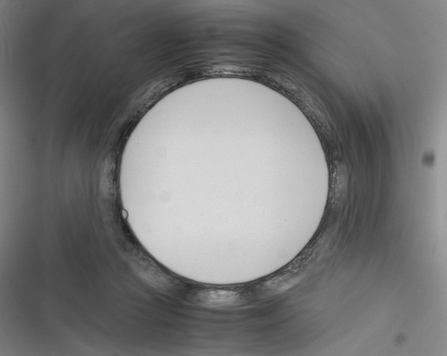 X0000116290361201001111101