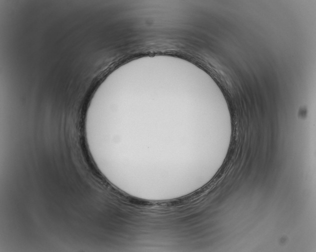 X0000116290362201001111101