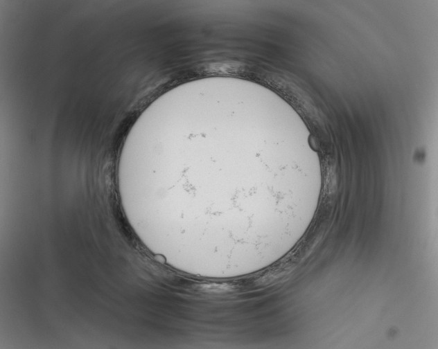 X0000116290363201001111101