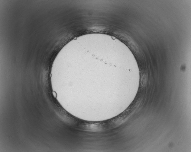 X0000116290365201001111101