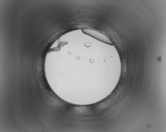 X0000116290367201001111101