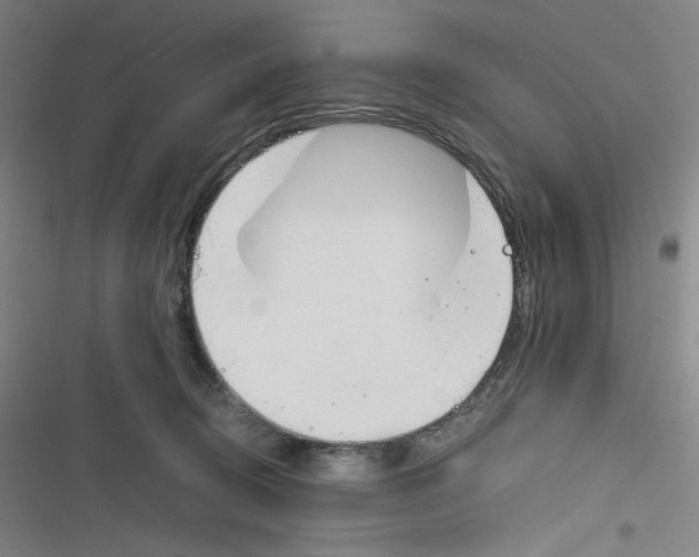 X0000116290370201001111101