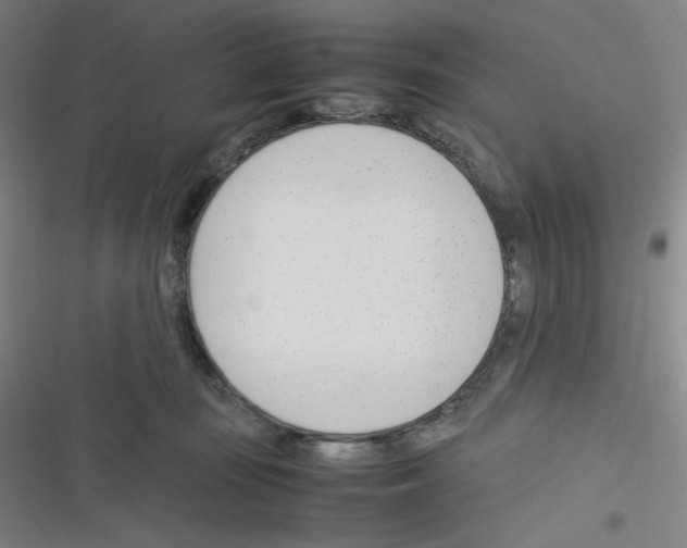 X0000116290371201001111101