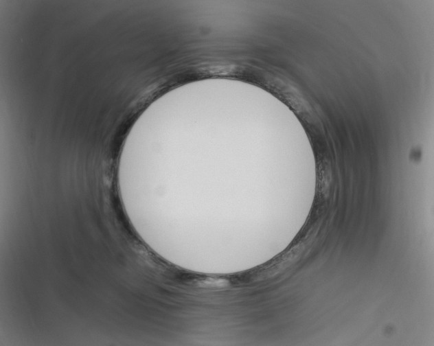 X0000116290374201001111101