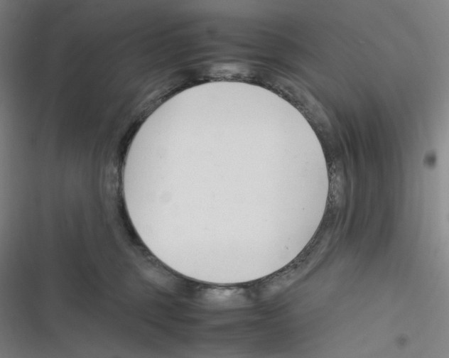 X0000116290375201001111101