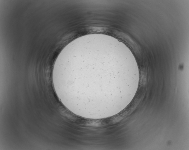 X0000116290377201001111101