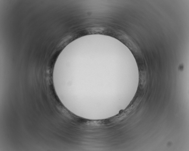 X0000116290378201001111101