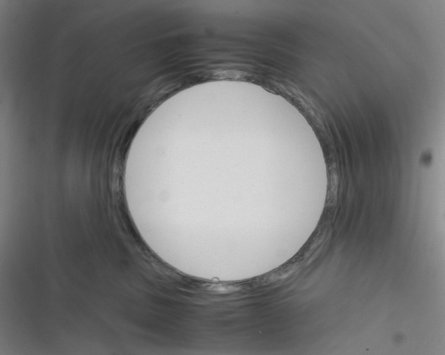 X0000116290379201001111101