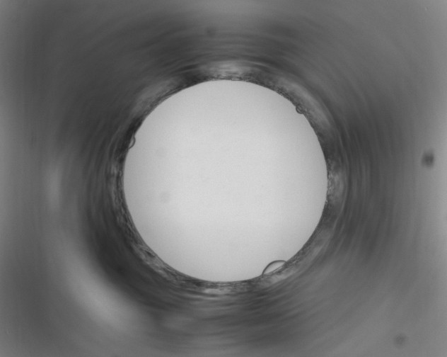 X0000116290381201001111101