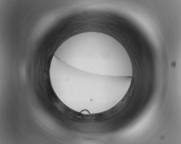 X0000116290382201001111101