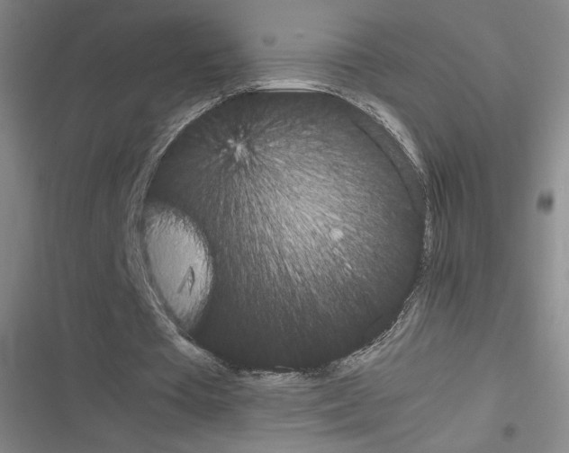 X0000116290385201001111101