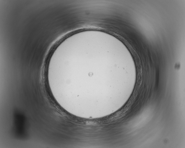 X0000116290388201001111101