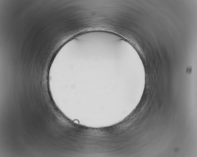 X0000116290389201001111101