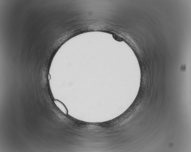 X0000116290393201001111101