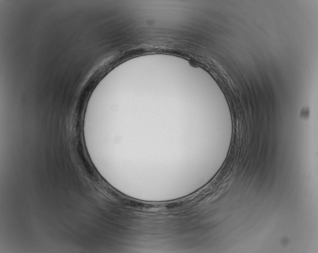 X0000116290396201001111101